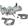 Stens 520-033 Carburetor (Replaces Replaces OEM	 Briggs & Stratton 495951, 498298)