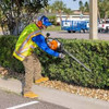 Stihl HS 87 T 40-inch hedge trimmer cutting a tall wide hedge