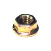 Rotary 10796 NUT GUIDE BAR STUD 6MM ECHO