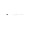Rotary 10869 THROTTLE RETURN SPRING REPLACES HONDA 16