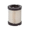 Air Filter, Briggs And Stratton
