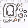 Gasket Set-engine 590777BRI
