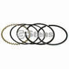 Chrome Piston Rings +.010 500-769STE