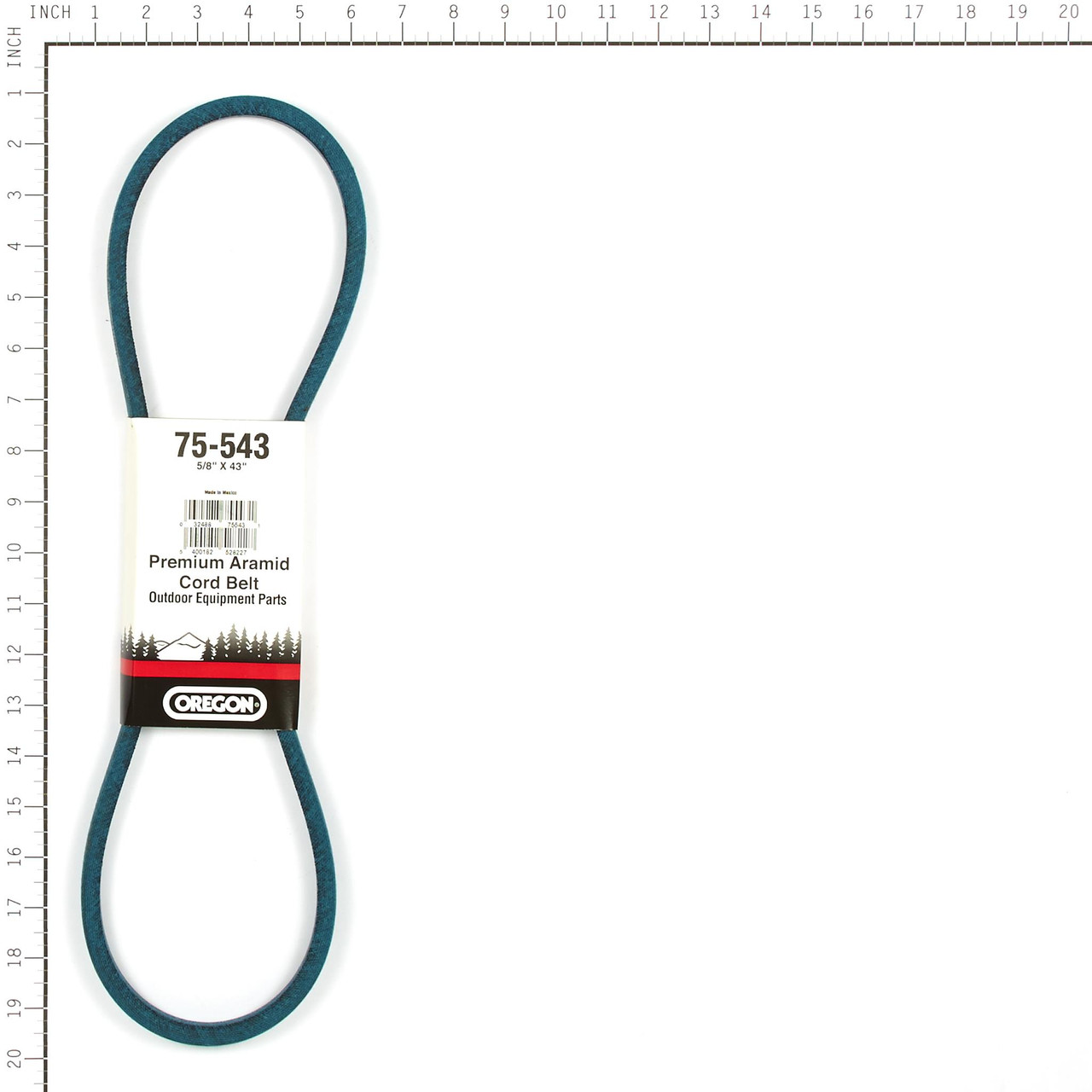 BELT PREMIUM WRAPPED - 75-543