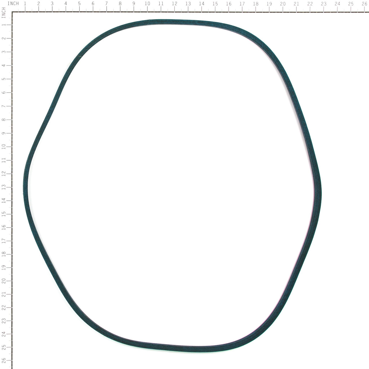 BELT PREMIUM WRAPPED - 75-574