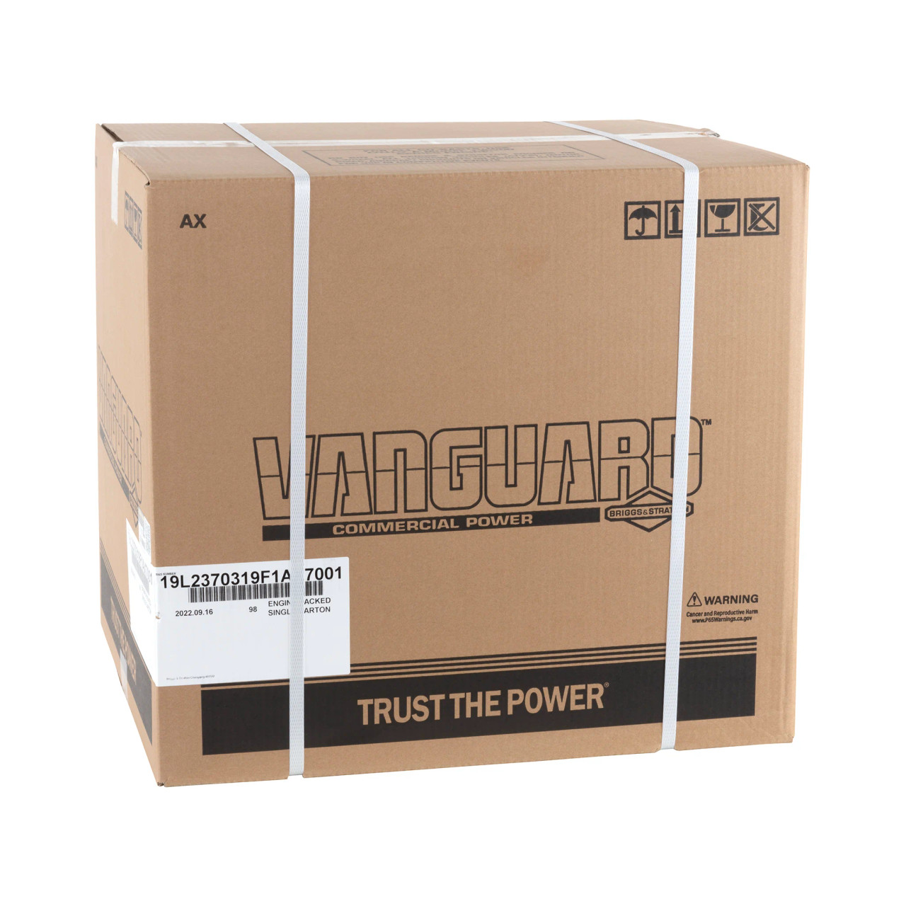 Vanguard 10.0 HP 305cc Horizontal Shaft Engine 19L237-0319-F1