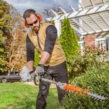 Lightweight Stihl HL 56 K long-reach hedge trimmer in action