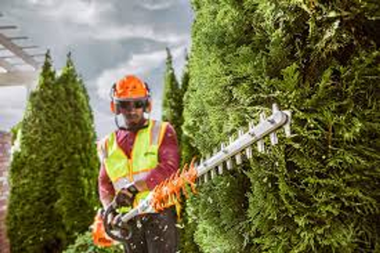 Stihl HL 91 K hedge trimmer cutting tall residential hedges