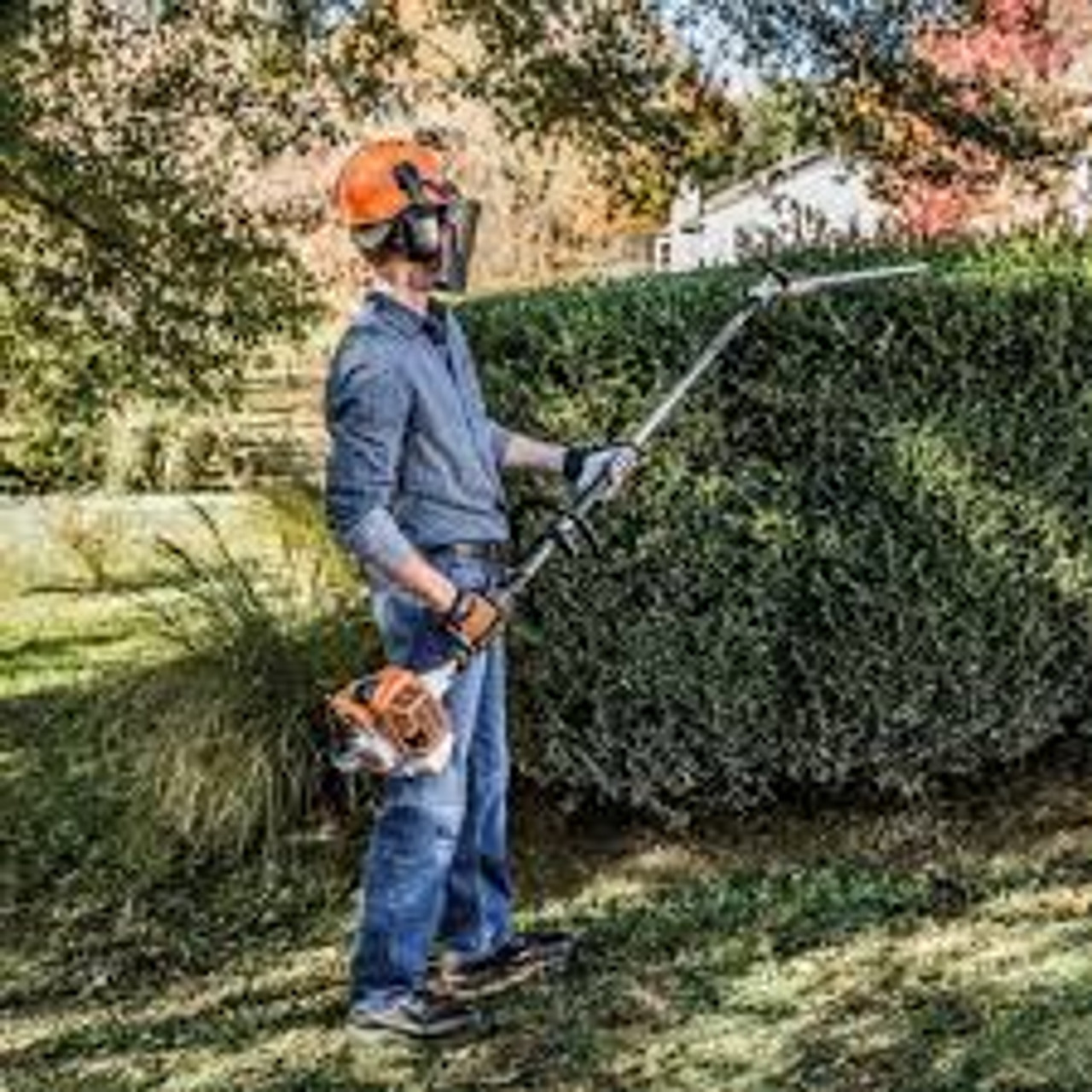 Stihl HL 94 145° hedge trimmer cutting tall hedges with long reach