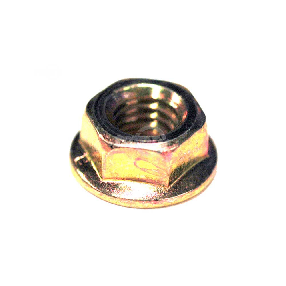 Rotary 10796 NUT GUIDE BAR STUD 6MM ECHO