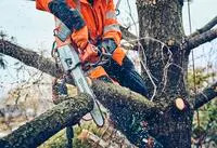 HUSQVARNA 970646814 - 14" 325 mini .043