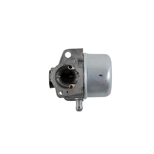 Carburetor Asm BS-799868MTD