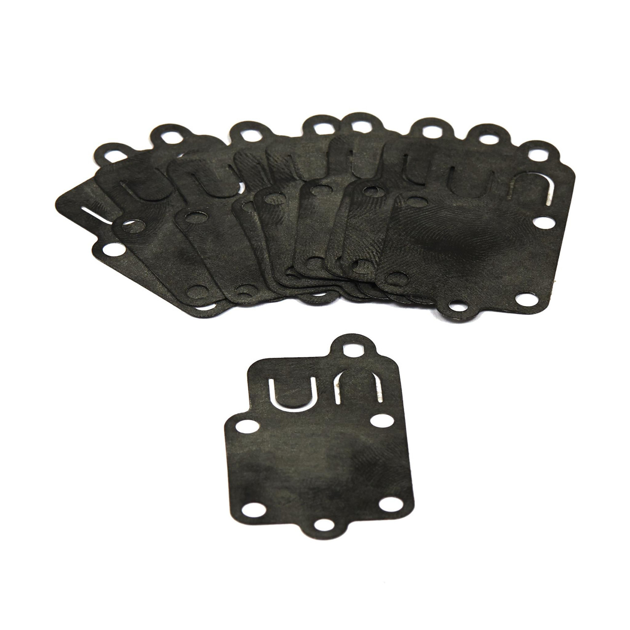 Diaphragm (10 X 270026)