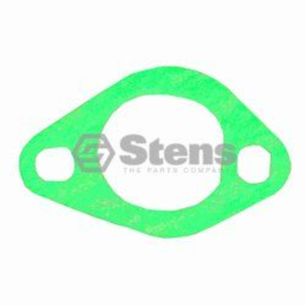 Intake Gasket 485-789STE
