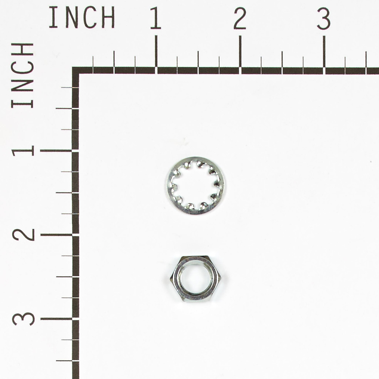 CARBURETOR PRIMER BULB WALBRO - 55-189