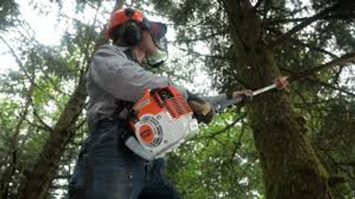 Stihl HT 250 pole pruner cutting thick tree branches