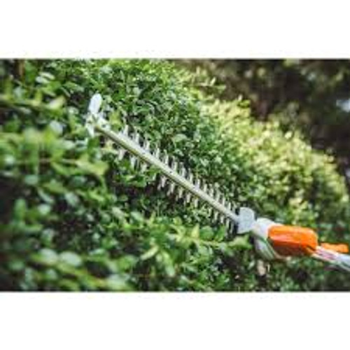 Homeowner using Stihl HL 56 K extended-reach hedge trimmer