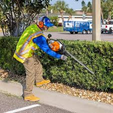 Stihl HS 87 T 30-inch hedge trimmer shaping a tall ornamental hedge