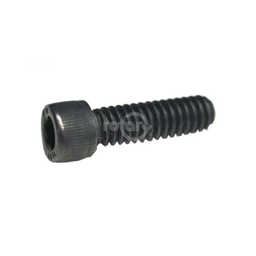 Rotary 3261 SOCKET SCREW 1/4-20 X 7/8"