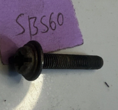 SCREW - 521863101