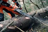 HUSQVARNA 966733113 - 572XP 28" 63GA 3/8