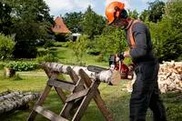 HUSQVARNA 967861816 - 135 II 16" 50GA 3/8