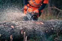 HUSQVARNA 970493484 - 592 XPG 24" 50GA 3/8