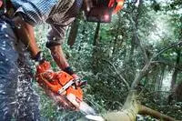 HUSQVARNA 970501408 - 555 24" 50GA 3/8