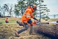 HUSQVARNA 970696754 - 562XP II 24" RSN Lightweight C83