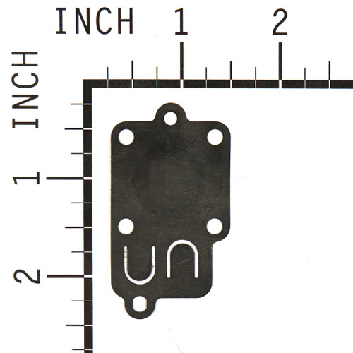 Diaphragm (10 X 270026)