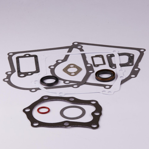 Gasket Set-engine 391662BRI