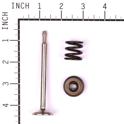Valve-exhaust 494191BRI