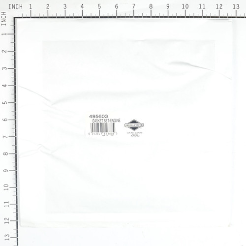 Gasket Set-engine 495603BRI