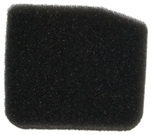 Echo A226000570 Filter