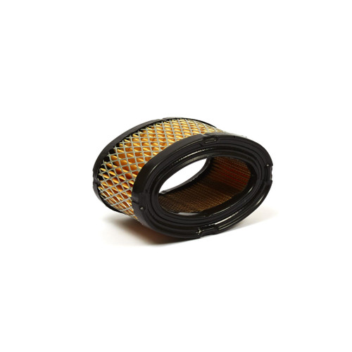 Air Filter Tecumseh Shop Pack 30-100