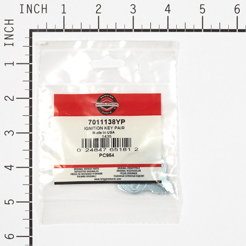 IGNITION KEY PAIR - 7011138YP