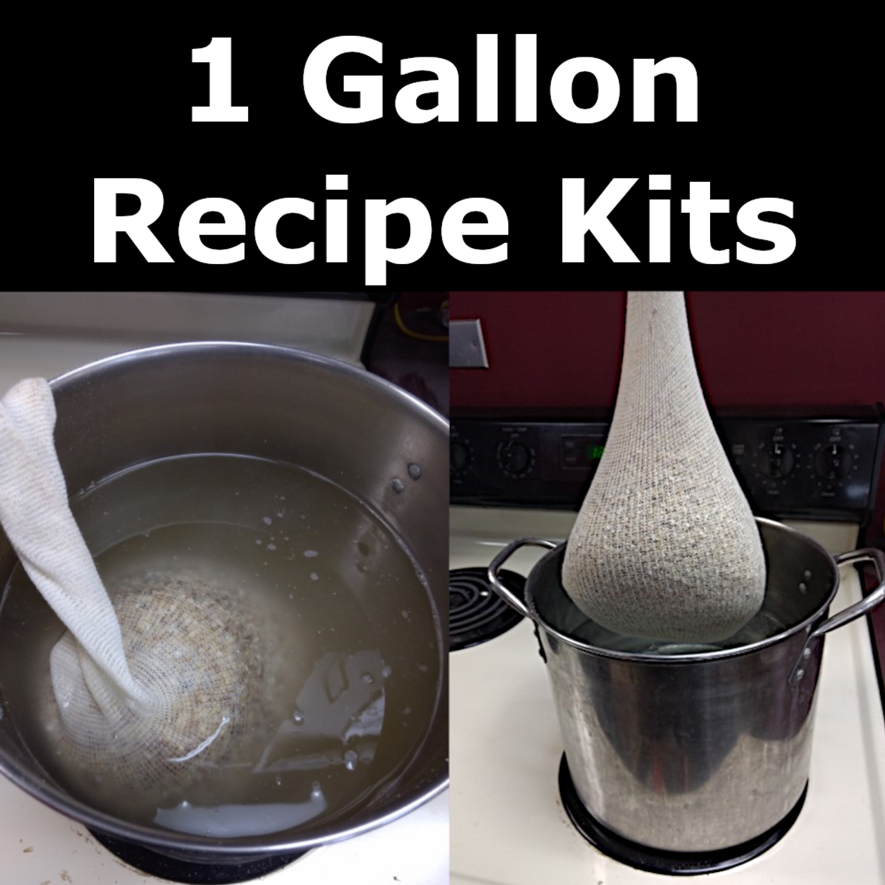 1 Gallon Beer Recipe Kits