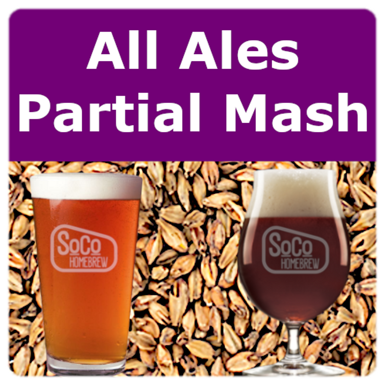 All Ales - Partial Mash