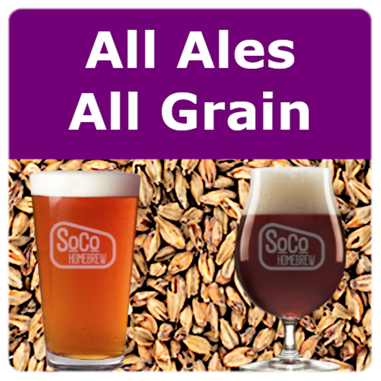 All Ales - All Grain