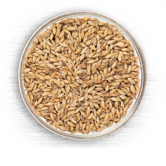 Carapils Dextrin Malt - Per Pound