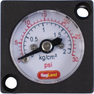 Mini Pressure Gauge (0-30 psi)