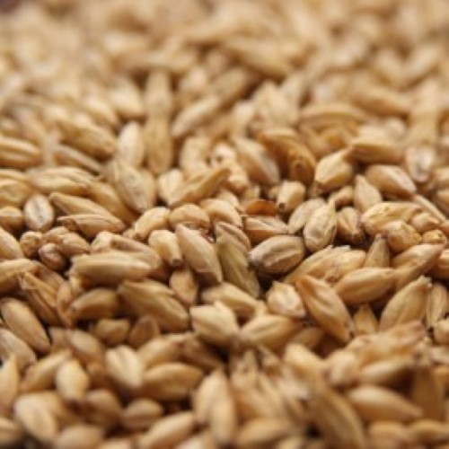 Best Malz Pilsen Malt - 55 LB