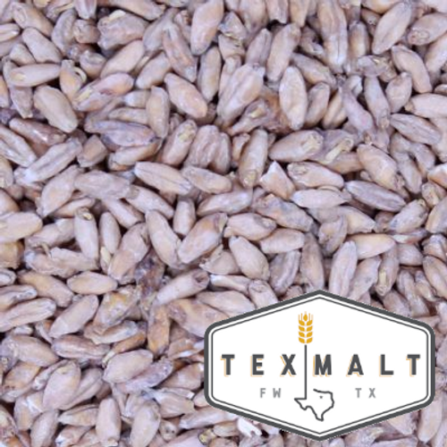 Texas Triticale Malt (TexMalt) - 50 LB