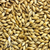 Golden Promise Malt - Per Pound