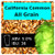 SoCo California Common (Steam Beer) - All Grain