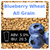 Blueberry Wheat Ale All Grain