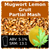 SoCo Mugwort Lemon Gruit Partial Mash Recipe Kit