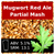 SoCo Mugwort Red Ale Partial Mash Recipe Kit