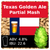 SoCo Texas Golden Ale Partial Mash Recipe Kit