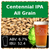 SoCo Centennial IPA - All Grain